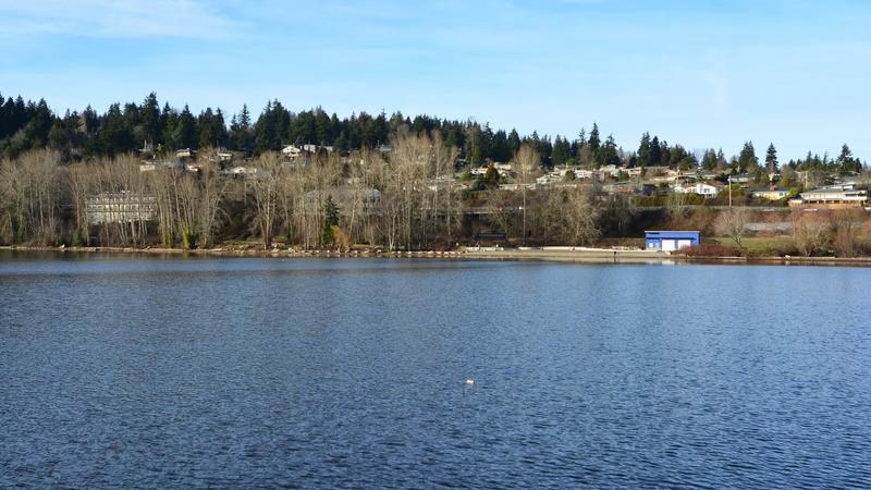 The pier at Log Boom Park in Kenmore, looking back toward the shore of Lake Washington.