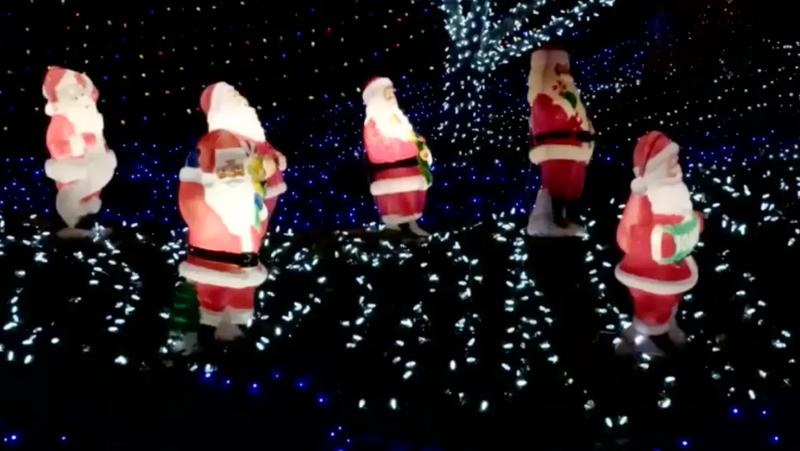 A house covered in blue, red, and white Christmas lights at night.