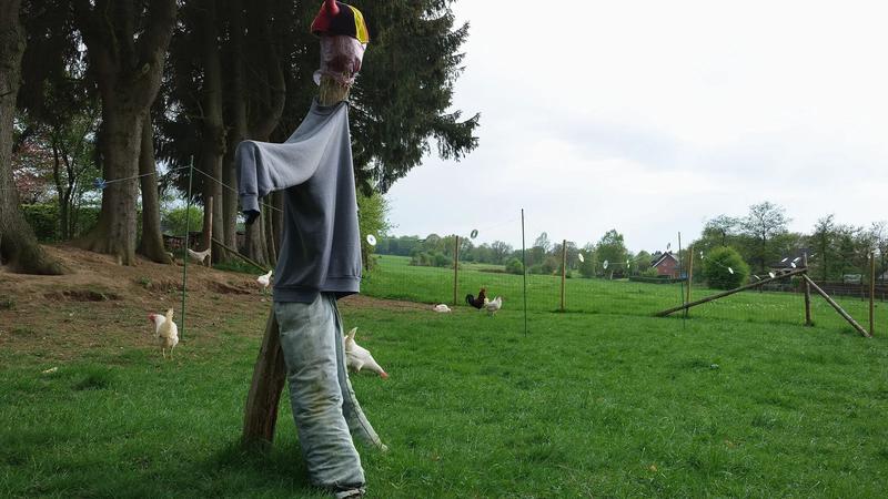 A scarecrow in a grassy field with trees behind it.